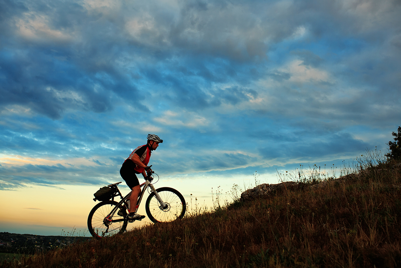 Cycling Culture