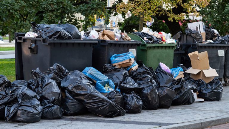 Property Value Improves Significantly With the Help of Junk Removal Service