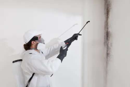 mold testing and inspection spring valley village